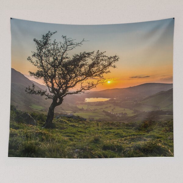 Item preview, A Lonely Tree Looking Over Dyffryn Nantlle During Sunset designed and sold by LluniauDafyddEm.