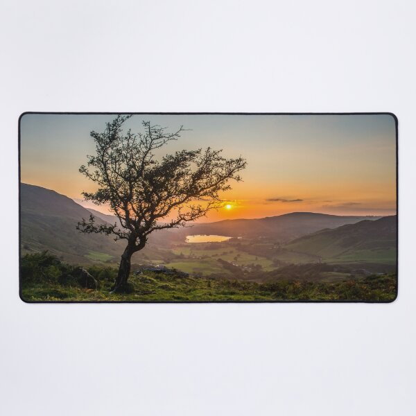 Item preview, A Lonely Tree Looking Over Dyffryn Nantlle During Sunset designed and sold by LluniauDafyddEm.