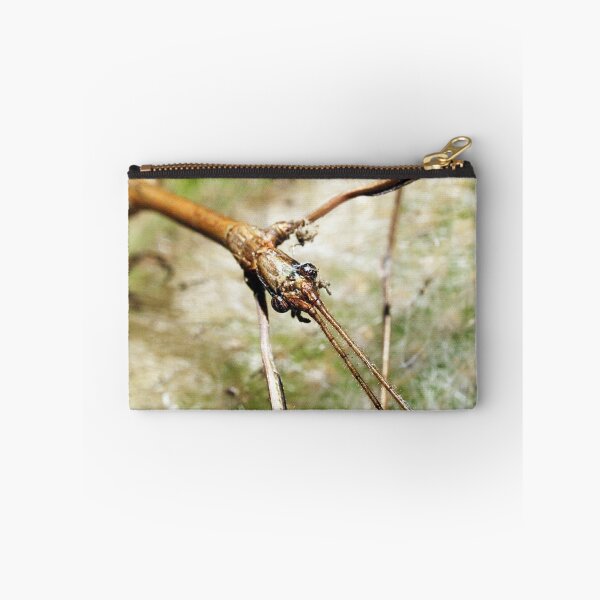 Item preview, Eyes of the Stick Insect  designed and sold by Bev Pascoe.