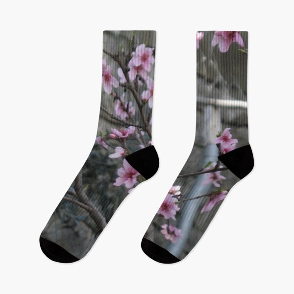 Item preview, That Cherry Blossoms Thing designed and sold by eleven3Oone.