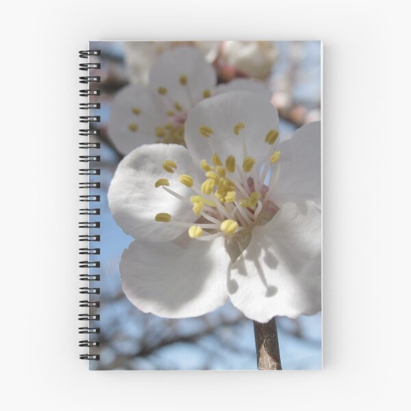 Item preview, That Apricot Blossom  designed and sold by eleven3Oone.