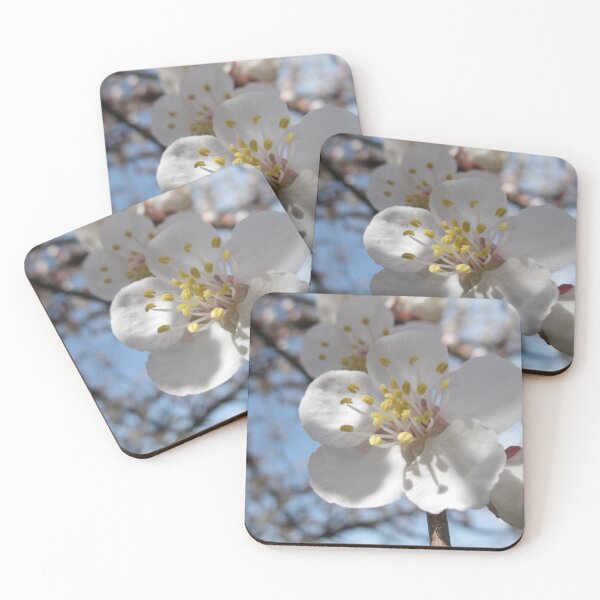 Item preview, That Apricot Blossom  designed and sold by eleven3Oone.