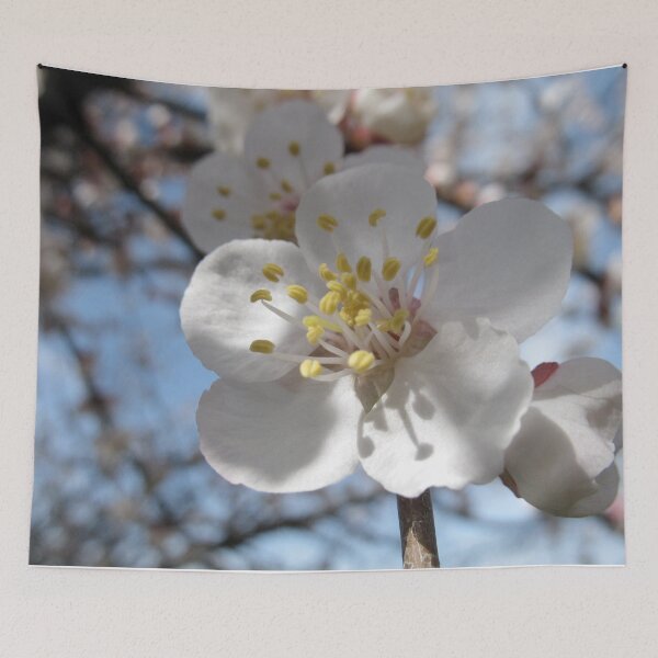 Item preview, That Apricot Blossom  designed and sold by eleven3Oone.