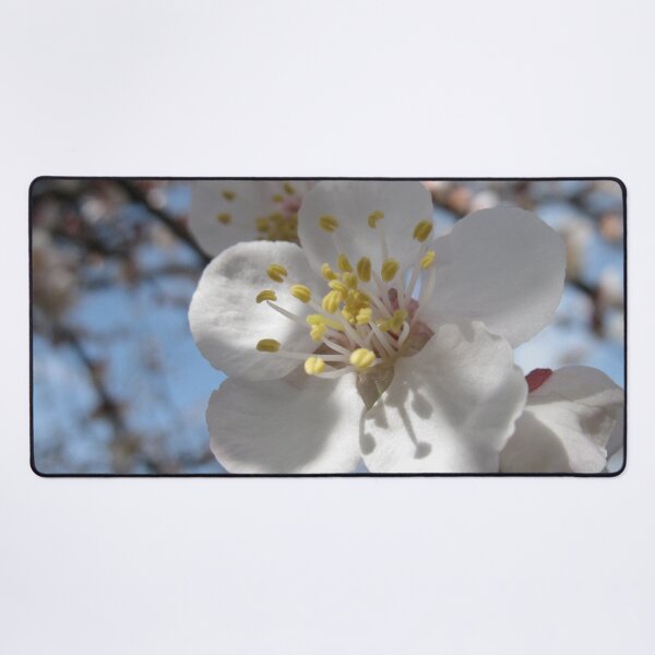 Item preview, That Apricot Blossom  designed and sold by eleven3Oone.