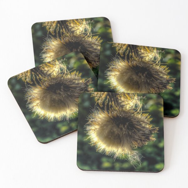Item preview, Thistle Light Refraction designed and sold by axp7884.