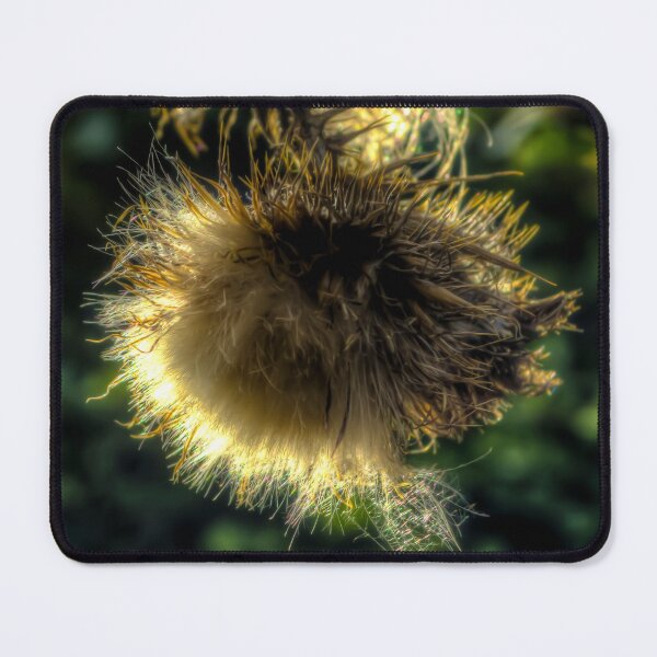 Item preview, Thistle Light Refraction designed and sold by axp7884.