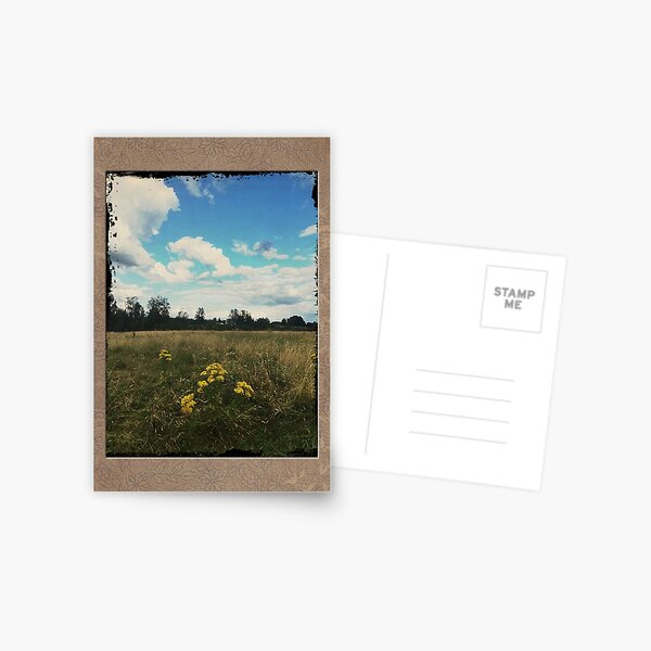 In the Fields #1 Postcard
