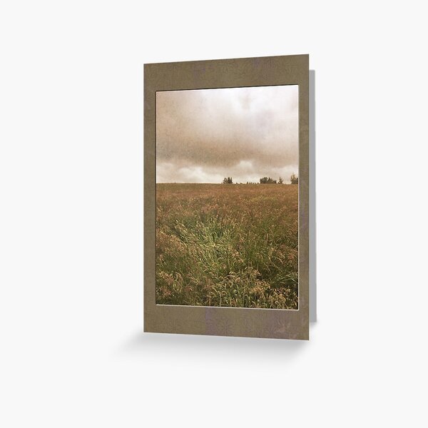 In the Fields #2 Greeting Card