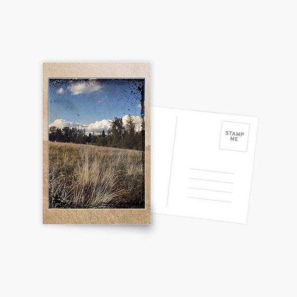 In the Fields #5 Postcard