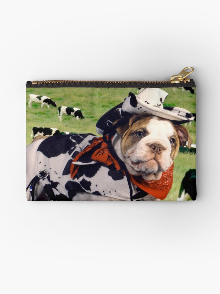 bulldog cow