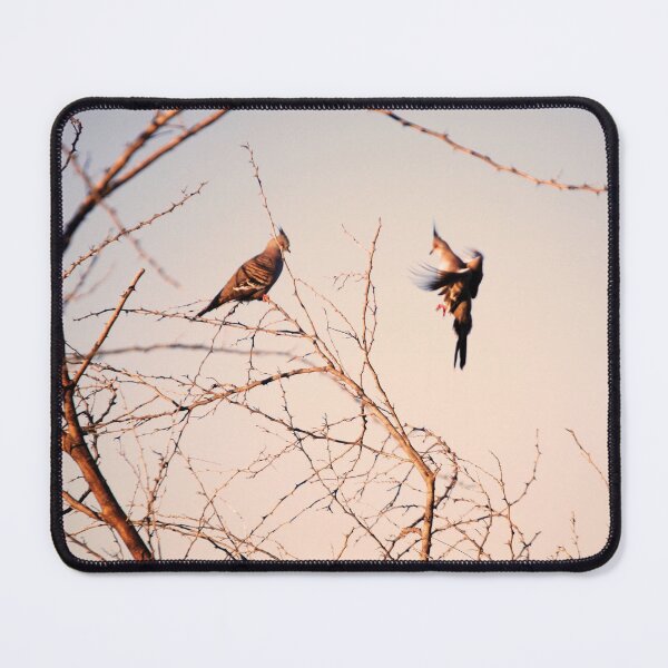 Item preview, Stunning Flying Birds at Sunset Photography designed and sold by Digitaldingo.