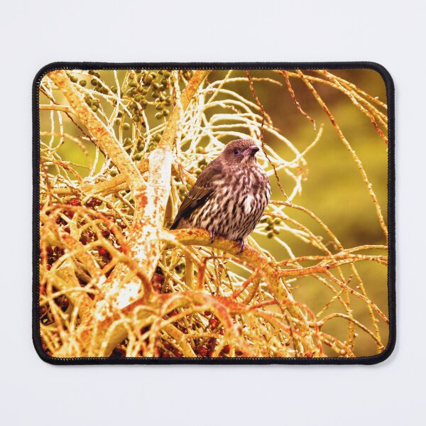 Item preview, Little Bird In the Bushes Photography  designed and sold by Digitaldingo.