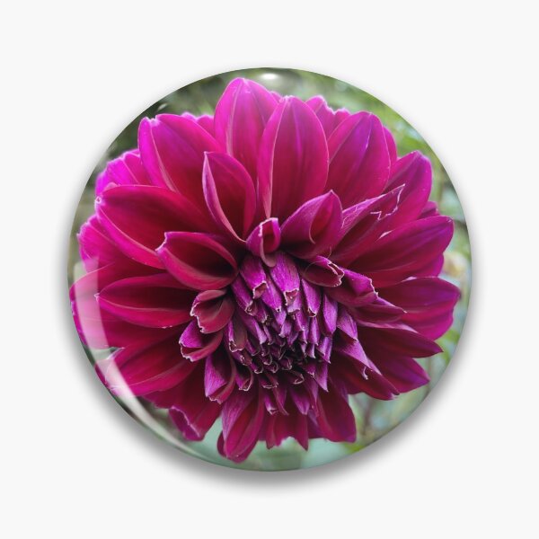 Item preview, Not just any flower.  designed and sold by lpolitano.