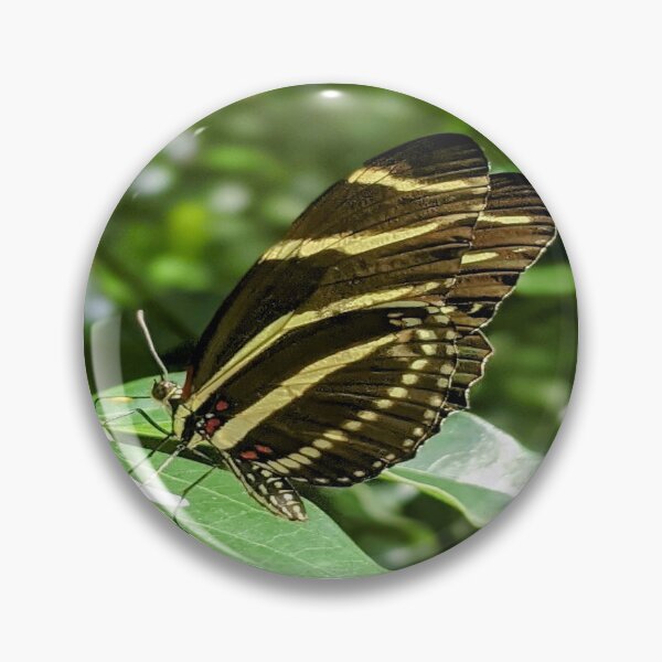 Item preview, Zebra Longwing Butterfly Profile designed and sold by Missy69.