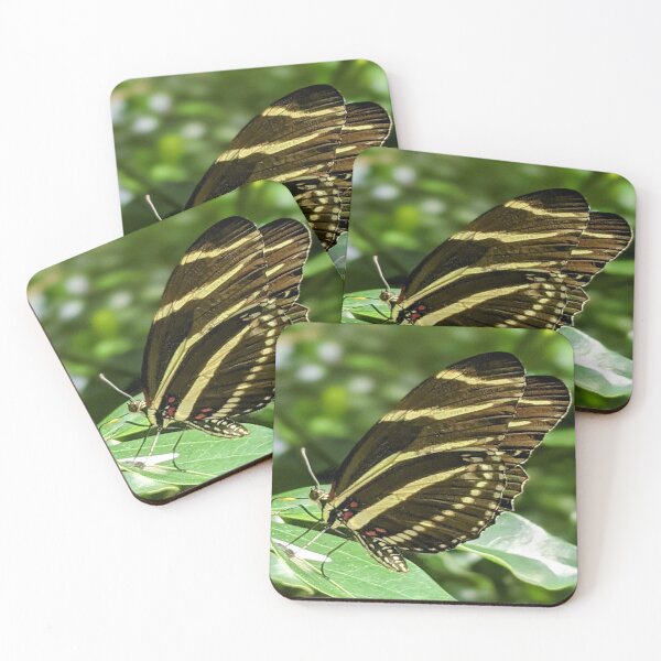 Item preview, Zebra Longwing Butterfly Profile designed and sold by Missy69.