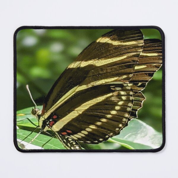 Item preview, Zebra Longwing Butterfly Profile designed and sold by Missy69.