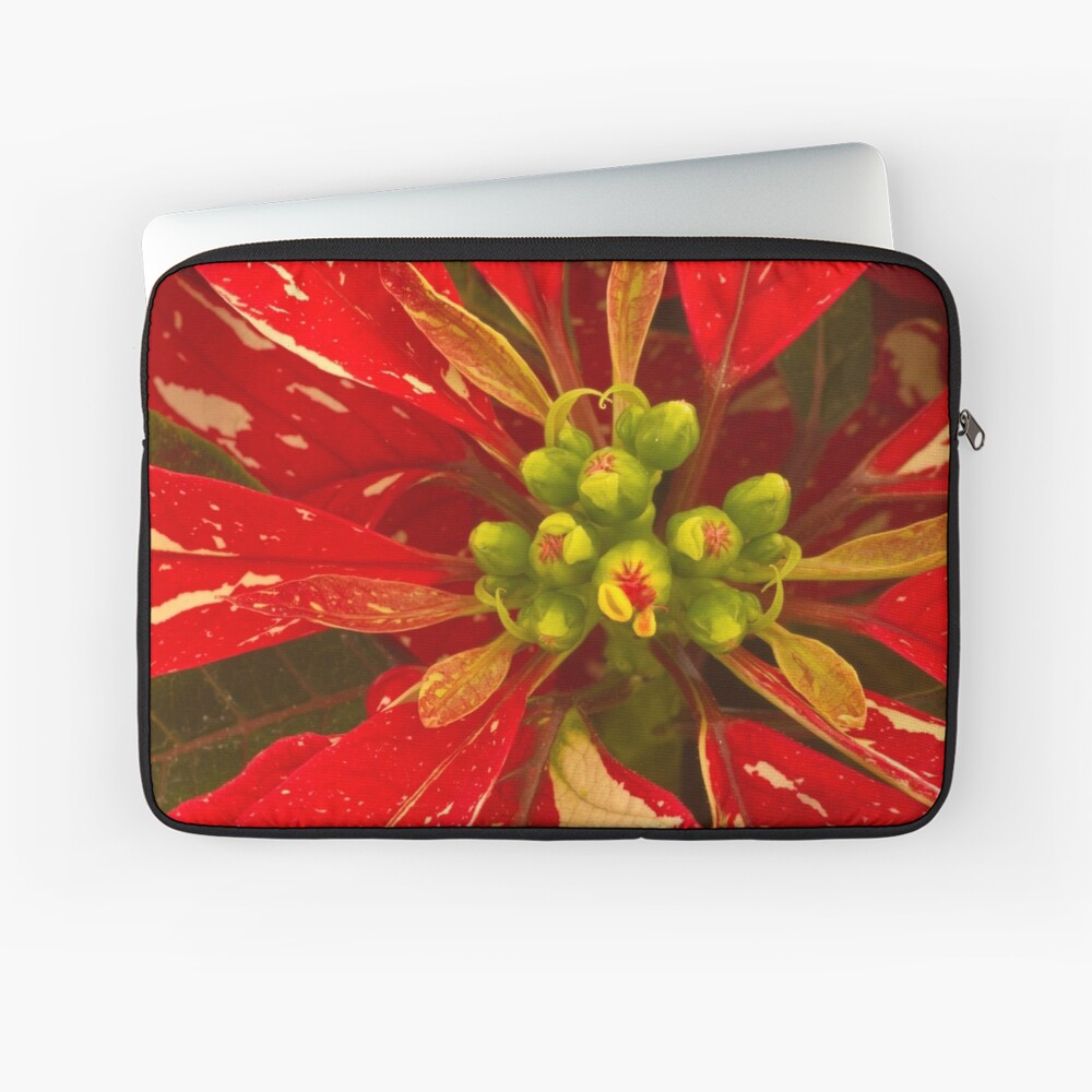 Item preview, Laptop Sleeve designed and sold by nikongreg.
