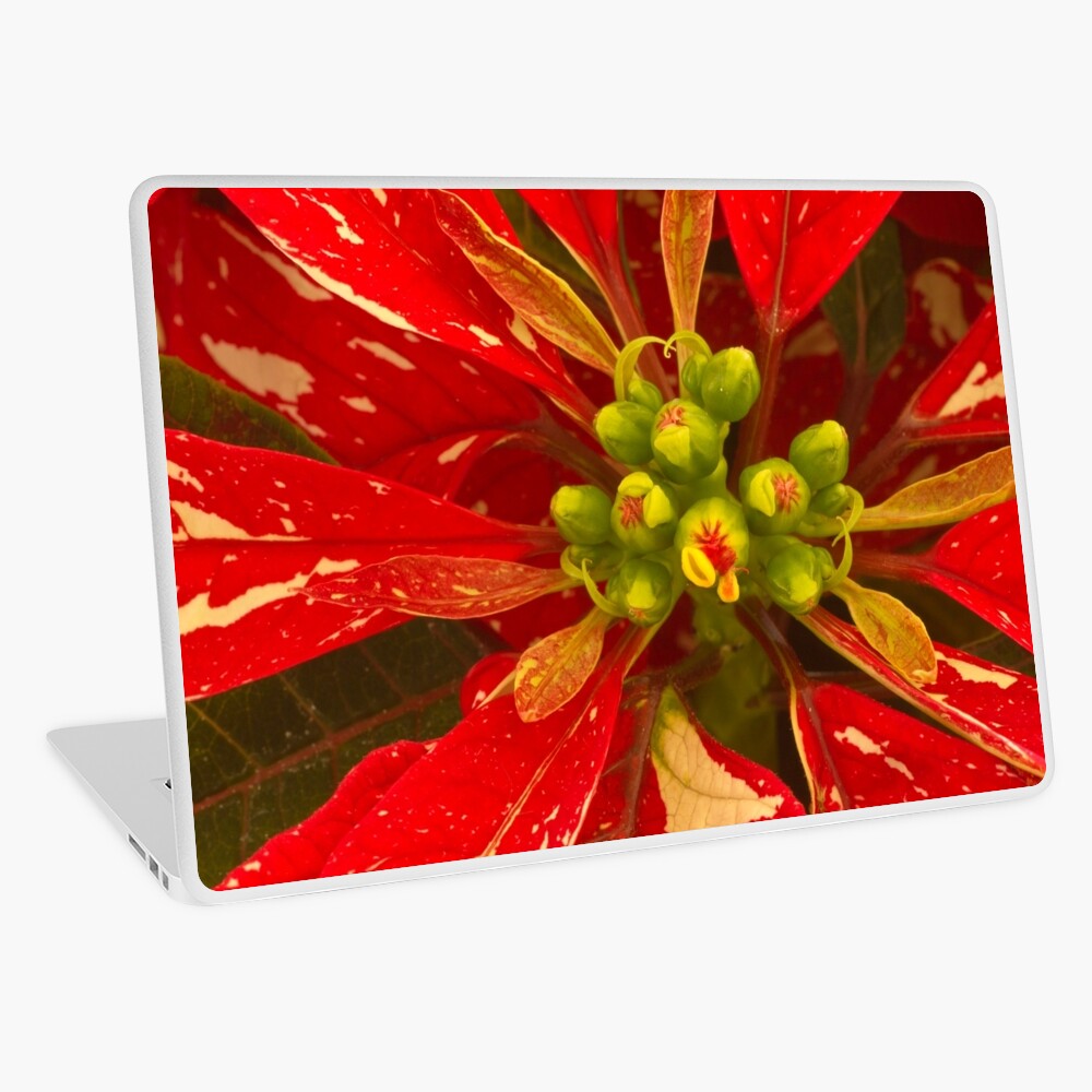 Item preview, Laptop Skin designed and sold by nikongreg.