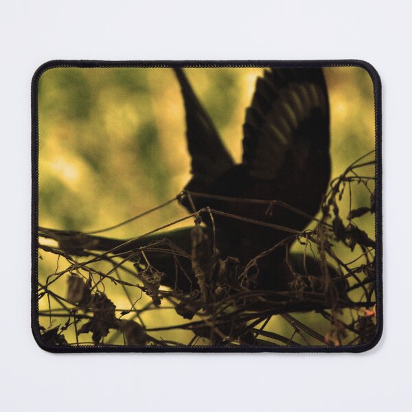 Item preview, Beautiful Silhouette Flying Bird Photography designed and sold by Digitaldingo.