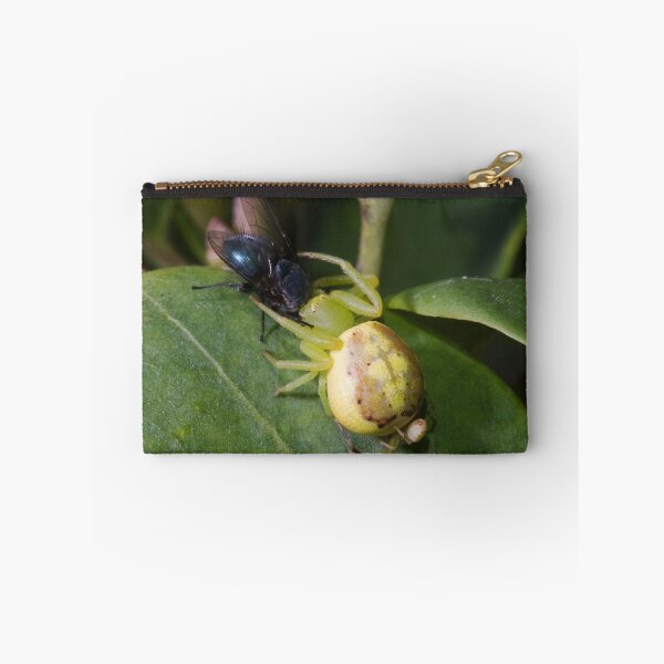 Item preview, Flower Spider designed and sold by GailD.