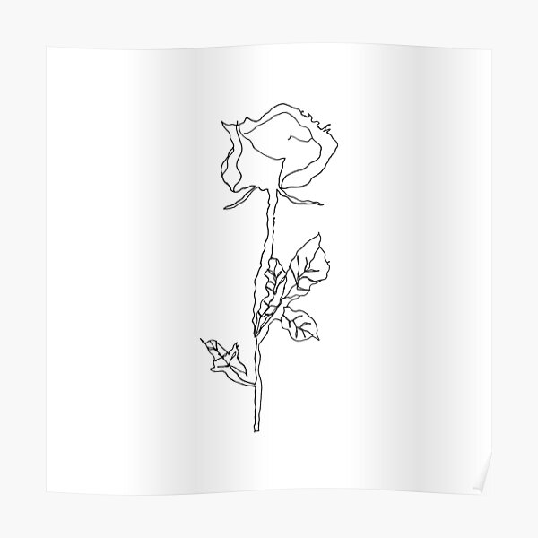 Stem Rose Sketch Posters For Sale Redbubble