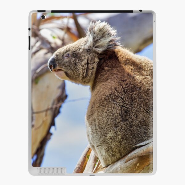 Koala iPad Skin