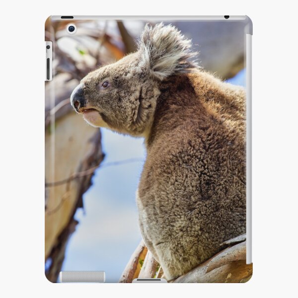 Koala iPad Snap Case