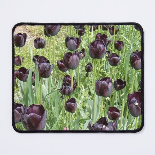 Artikelvorschau, Schwarze Tulpen entworfen und verkauft von Onelamb.