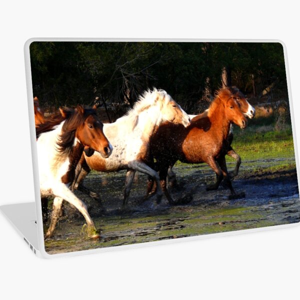 Item preview, Pony Roundup designed and sold by dandefensor.