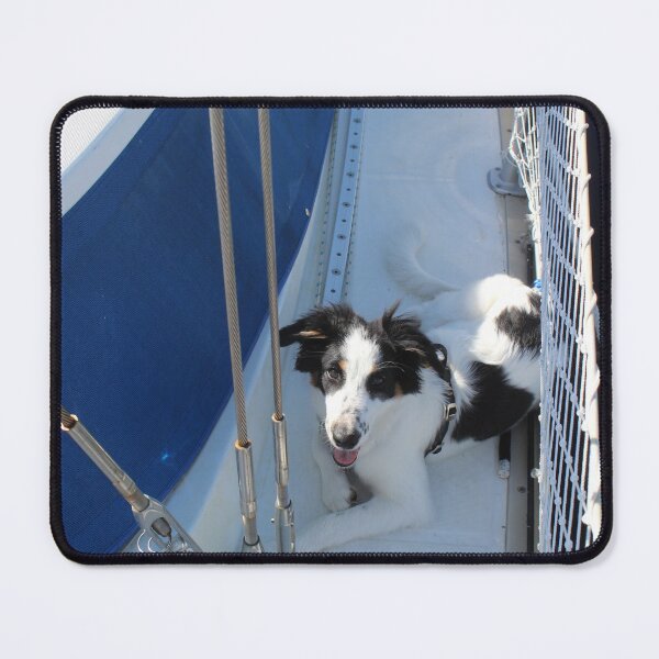 Item preview, Australian Shepherd Skipper Resting on Port Side Deck designed and sold by banditandkoko.