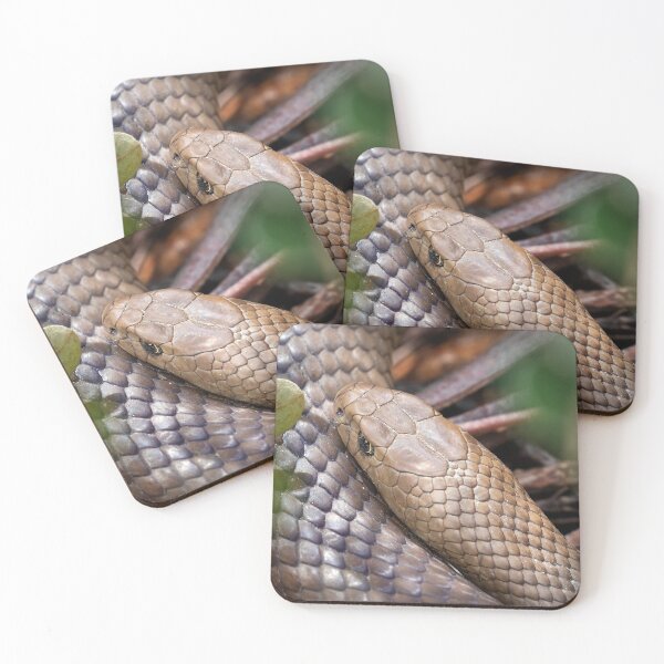 Item preview, Eastern brown snake. designed and sold by DaveBassett.