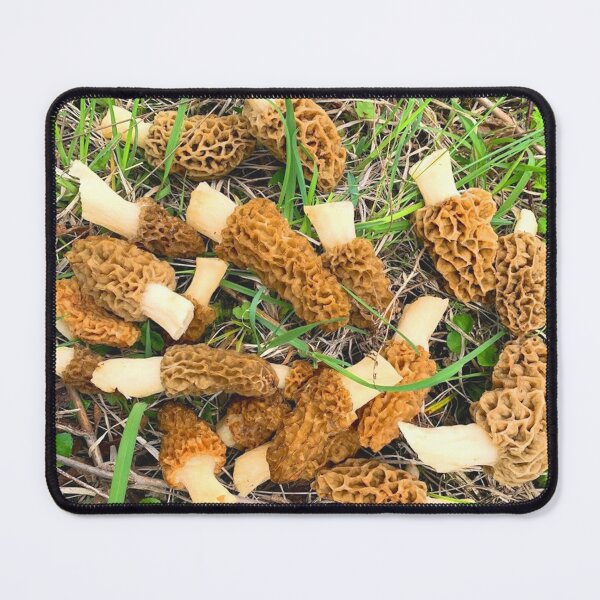 Item preview, Morel Mushrooms designed and sold by sd749.