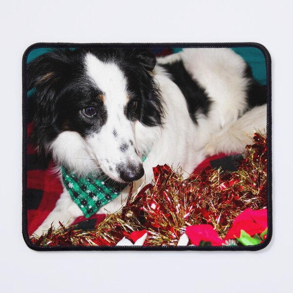 Skipper in the Garland Mouse Pad