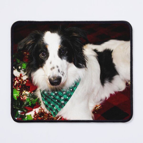 Item preview, Skipper Isn't Messing with the Garland designed and sold by banditandkoko.
