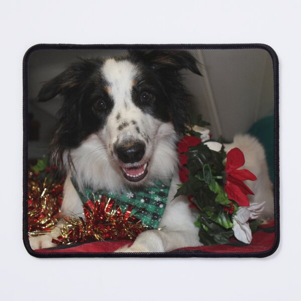 Item preview, Skipper Merry Christmas! designed and sold by banditandkoko.