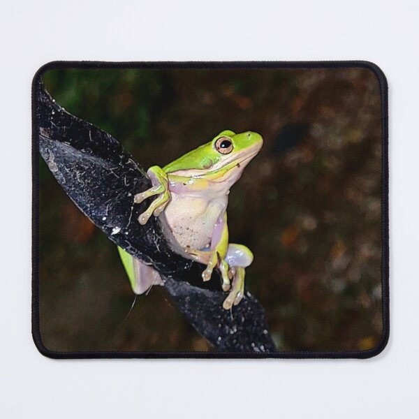 Item preview, Froggy Time designed and sold by RLE42.