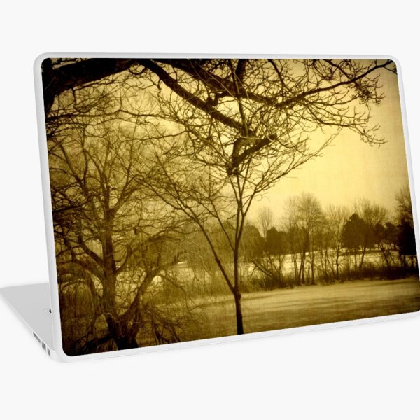 Frozen Lagoon © Laptop Skin