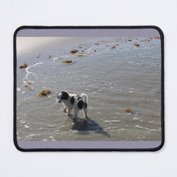 Item preview, Australian Shepherd Puppy's First Day at the Beach designed and sold by banditandkoko.
