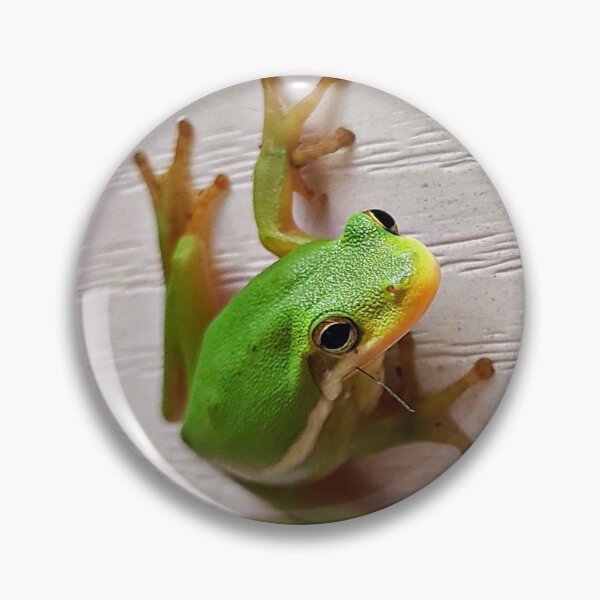 Item preview, Froggy Time designed and sold by RLE42.