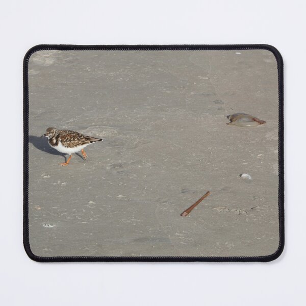 I Quit! This Job is for the Birds! Mouse Pad