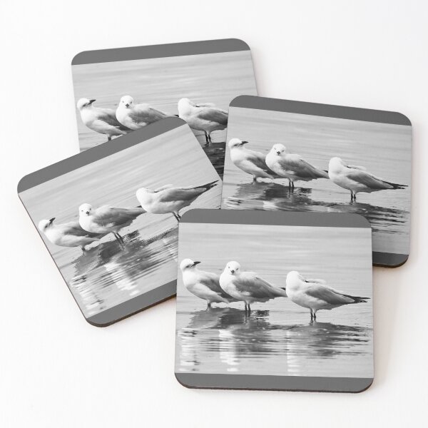 Item preview, Silver gull trio  designed and sold by MargsNaturePix.