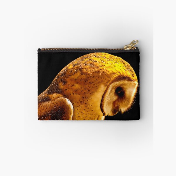 Artikelvorschau, Barn Owl entworfen und verkauft von Sue Ratcliffe.