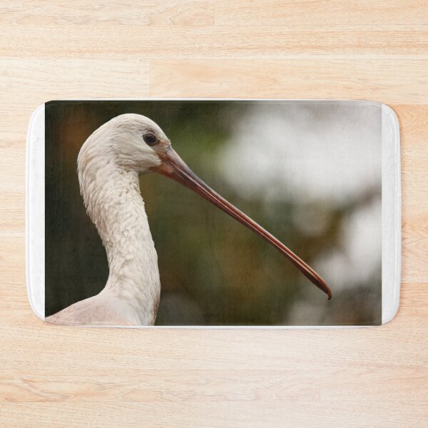 Item preview, Spoonbill designed and sold by TVD-Photography.