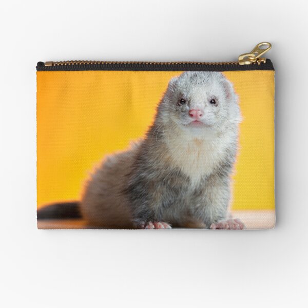 Frodo the Lion. Zipper Pouch