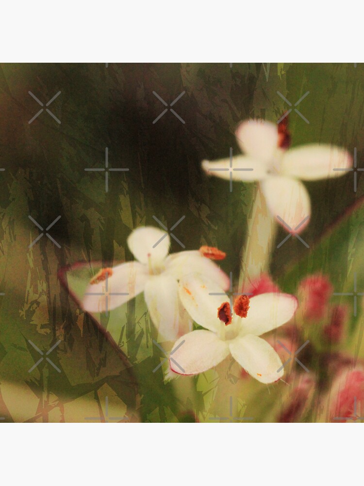 Pink Riceflowers by LisaGHunter