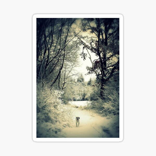 Winter Walk Sticker