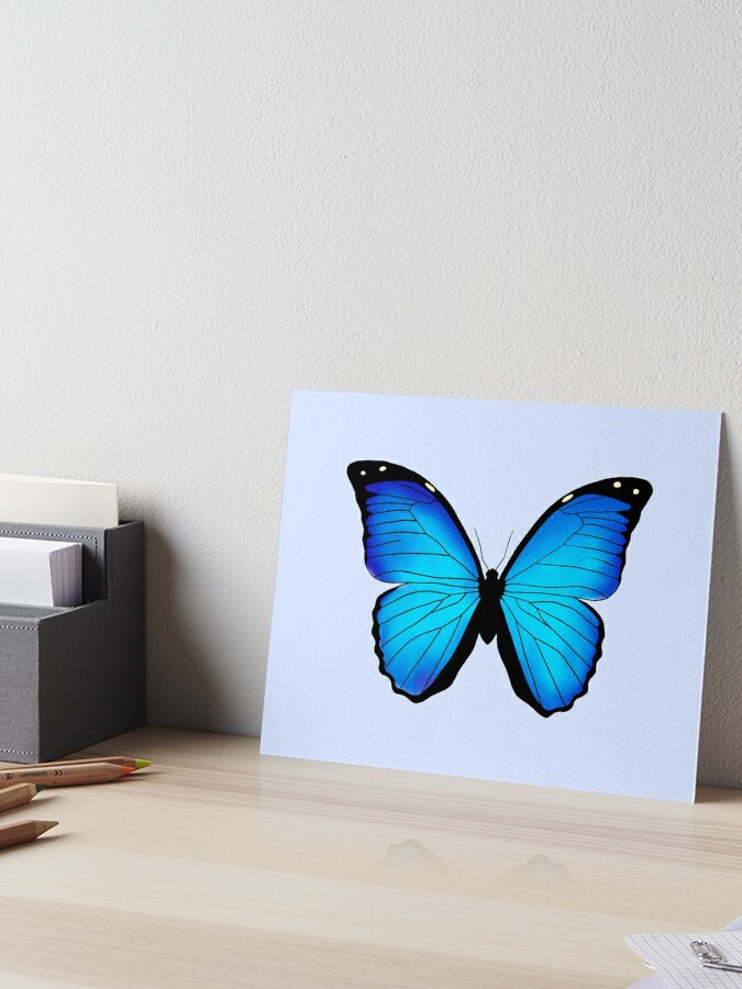 3D Butterfly Multicolor Decorative wall Sticker 12 Pcs (10x8)