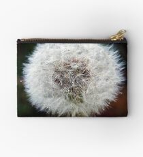 Silver Ball Studio Pouch