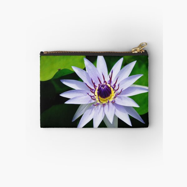 Item preview, Water Lily designed and sold by Dean Mullin.