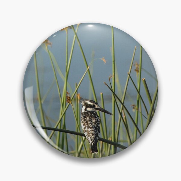 Item preview, Pied Kingfisher designed and sold by quentinjlang.